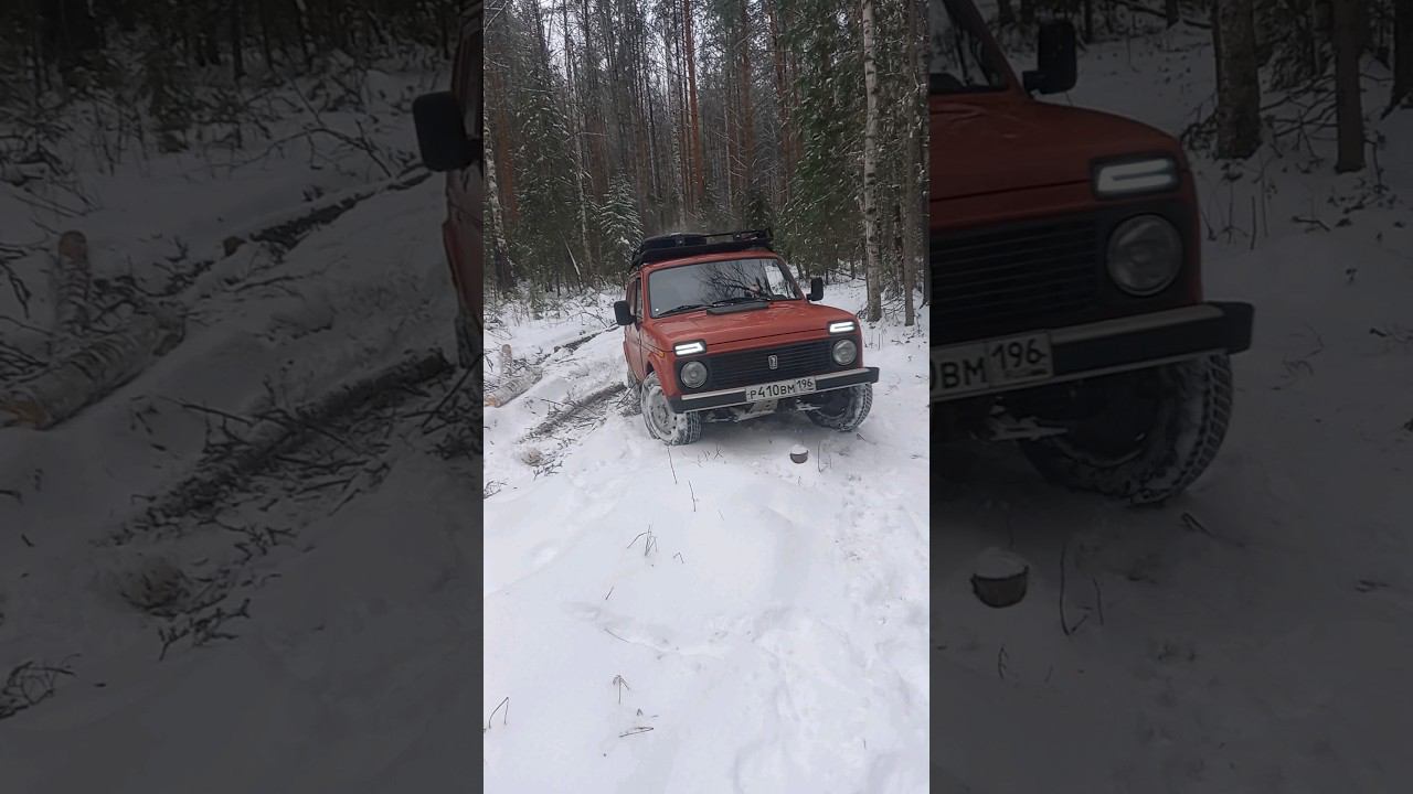 Нива в деле #бездорожье #урал4320 #automobile #offroad
