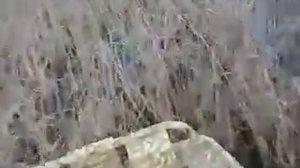 мотор болотоход 22 л с  + лодка болотоход