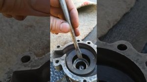 Помпа уаз с двигателя умз-порядок разборки