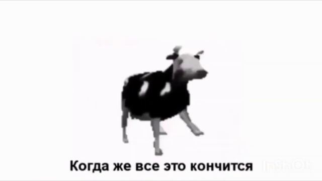 ПОЛЬСКАЯ КОРОВА ПЕРЕВОД смотреть онлайн
