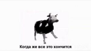 ПОЛЬСКАЯ КОРОВА ПЕРЕВОД
