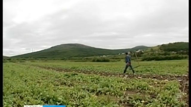 Небывалое количество редиса и укропа собирает в эти дни на своих полях магаданский фермер Григорий смотреть онлайн