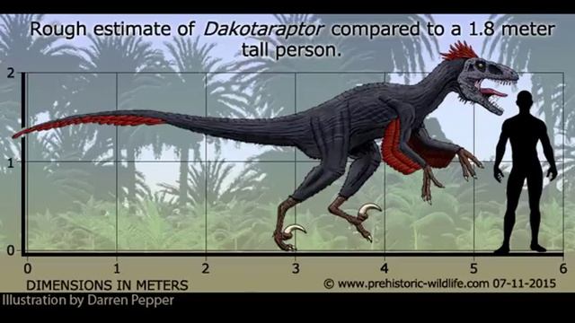 DAKOTARAPTOR STEINI | ДОИСТОРИЧЕСКИЕ ЖИВОТНЫЕ смотреть онлайн