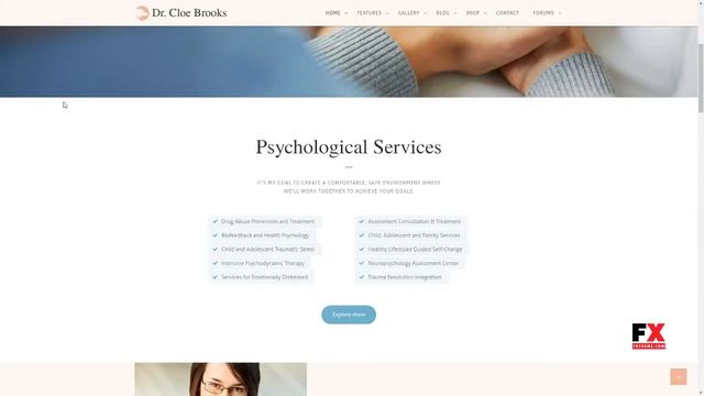 Cloe Brooks Psychology, Counseling and Medical WordPress Theme + RTL смотреть онлайн