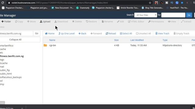 How to create a subdomain website on WordPress смотреть онлайн