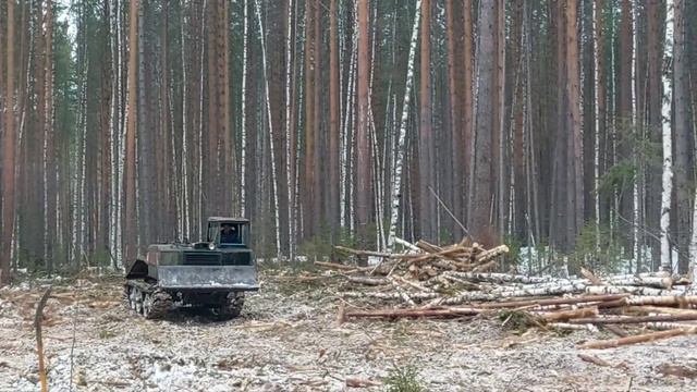 работа в лесу, лесозаготовка ,,282,, смотреть онлайн