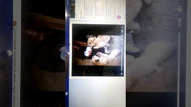 Если будут лайки буду снимать чаще смотреть онлайн
