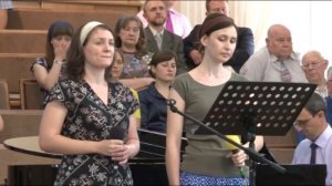 У дикого гуся могучие крылья..