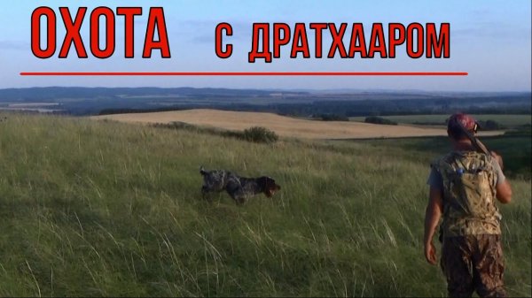 ОХОТА с ДРАТХААРОМ