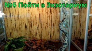 Белгородский зоопарк. Чем заняться с детьми?