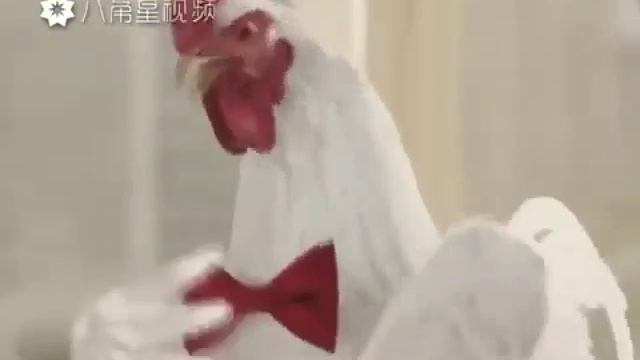 Мама. Папа. Вероника. ????? смотреть онлайн