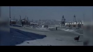 Как живут русские в Монголии? Смотреть до конца