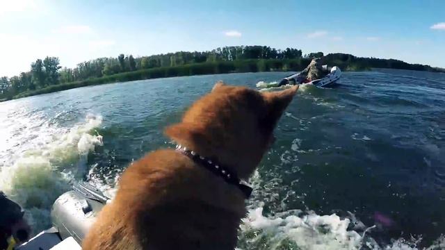 Саратов. охота. summertime part1. (Алексей Тарновский) смотреть онлайн