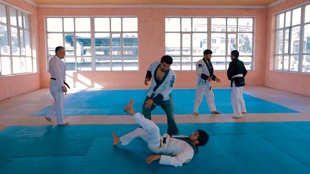 Смешанные боевые единоборства смотреть онлайн