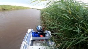 Ванна рыбы на кастинговую сеть за 20 минут Сазаны на кастинговую сеть американку Рыбалка на 2020