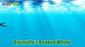 50minㅣEn DubbingㅣA stories of whales and sharks adventuresㅣwhales for kidsㅣCoCosToy