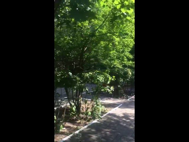 Территорию ЦРБ Одинцово облюбовали бомжи смотреть онлайн