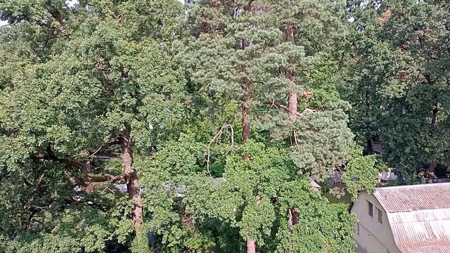 Nokia G20 тестовое видое смотреть онлайн