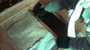 Зимовка пчел в апидомике