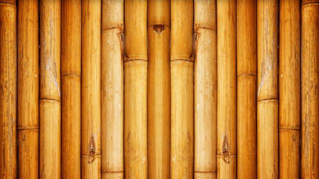 Картинка текстура. Pattern, бамбук, Bamboo, стена, Wall. Textură De Imagine. Model, Bambus, JPEG