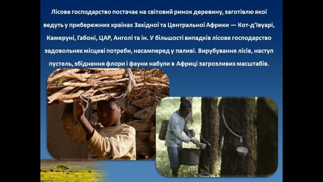 Географія, урок 32, 10 клас, ОСОБЛИВОСТІ ГОСПОДАРСТВА ХАРАКТЕРИСТИКА СЕКТОРІВ ЕКОНОМІКи АФРИКИ смотреть онлайн