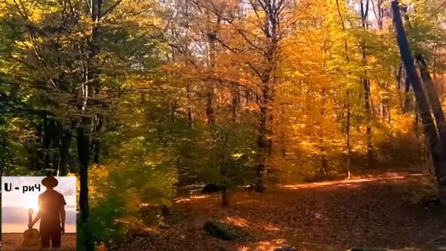 Красно-жёлтые ноты смотреть онлайн