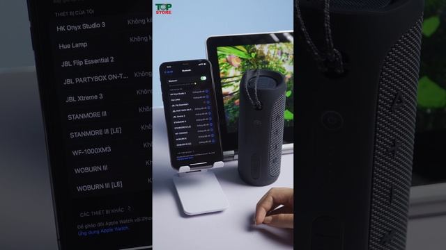 Loa Bluetooth JBL Flip Essential 2 смотреть онлайн
