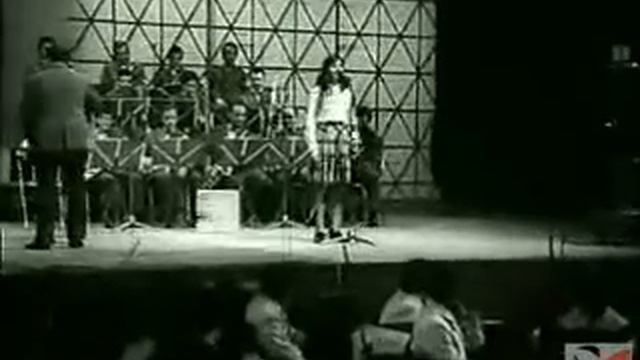 Ne festivalin e 11-te te Kenges 1972 Shqipëria/Albania - Festival canzone albanese смотреть онлайн