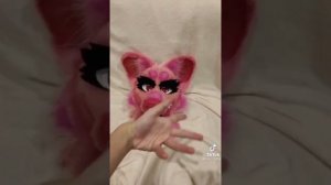 Фурри из ТТ и Лайка🐾💗подборка|𝙱𝚊𝚜𝚢𝚊 𝙿𝚕𝚊𝚢