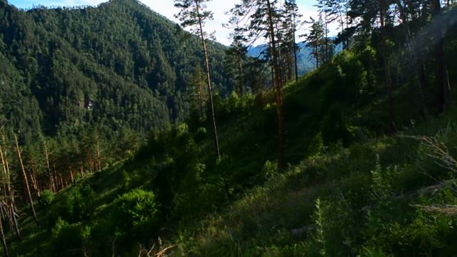 ГОРНЫЙ АЛТАЙ. ЧЕМАЛ смотреть онлайн