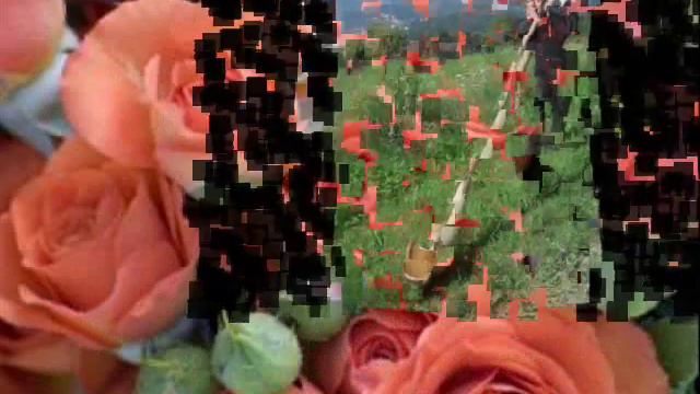 Amazing Grace - Alphornsolo zur Trauerfeier - Rudi Wagner смотреть онлайн