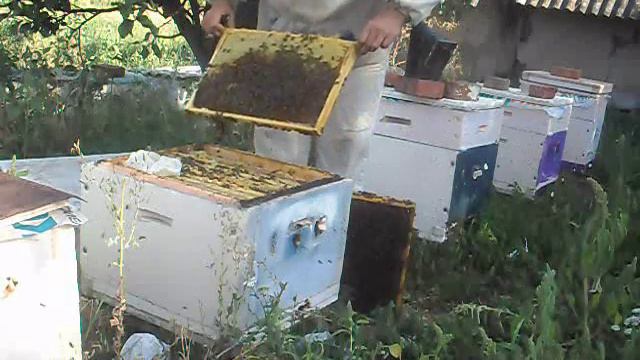 Взяток в сентябре