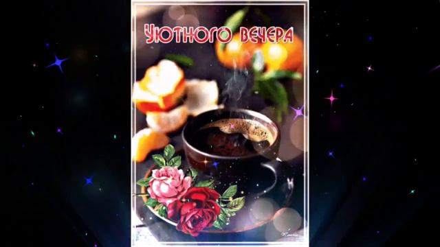 Добрый вечер Марта Кот Новые Мечты смотреть онлайн
