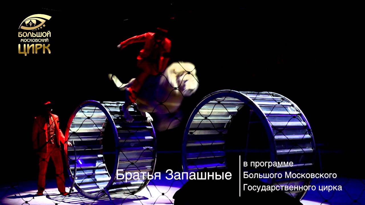 Эмоци и... смотреть онлайн