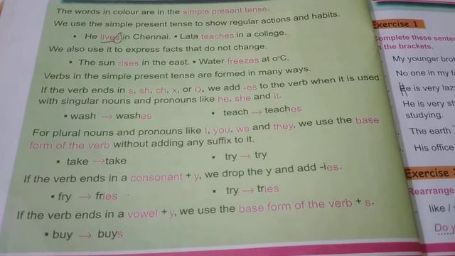 The simple present tense,Class-4,New Enjoying Grammar Book смотреть онлайн