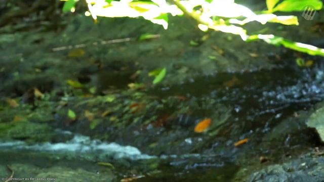 Top 30 Romantic Classical Piano Love Songs Ever - Classical Music for Relaxation, Study, Sleeping смотреть онлайн