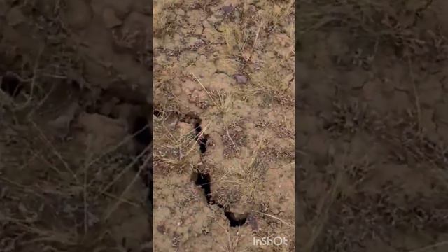 Каньон Ошаганды с весны до осени. Загадочные камни, рыжие лишайники и бирюзовая вода. Караганда смотреть онлайн