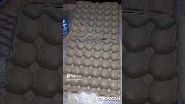 ПОСАДКА РЕДИСА ДОМА ЗИМОЙ. ОГОРОД НА КУБАНИ. shorts# смотреть онлайн