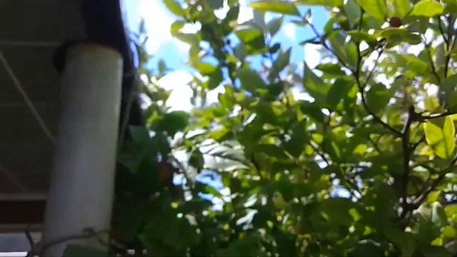 Солнечная панель 280 Вт и частичное затенение смотреть онлайн