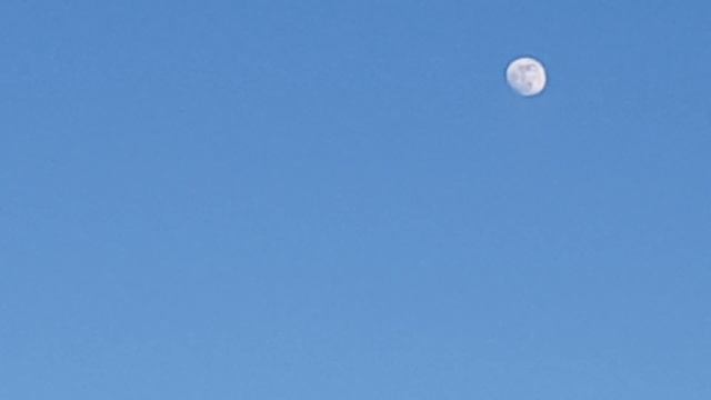Одновременно Луна и Солнце на плоской Земле. смотреть онлайн