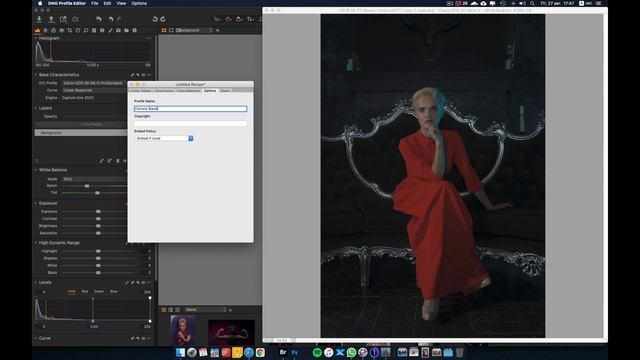 Как сделать линейный профиль RAW для Lightroom или ACR смотреть онлайн