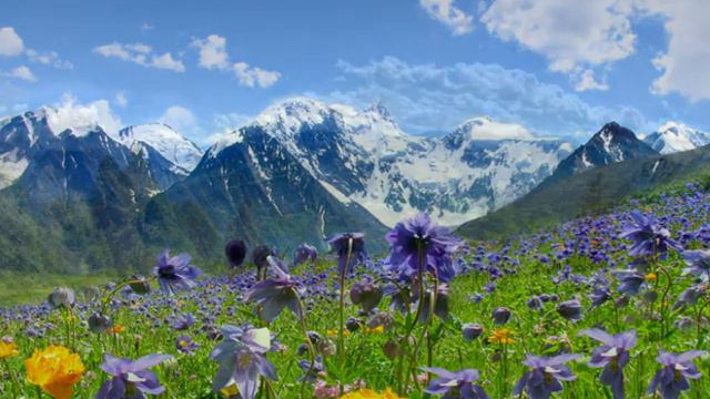Альпийские луга смотреть онлайн