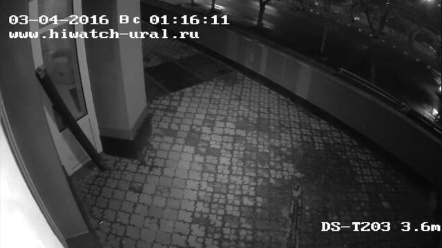 HD-TVI видеокамера HiWatch DS-T203 3,6мм ночь улица