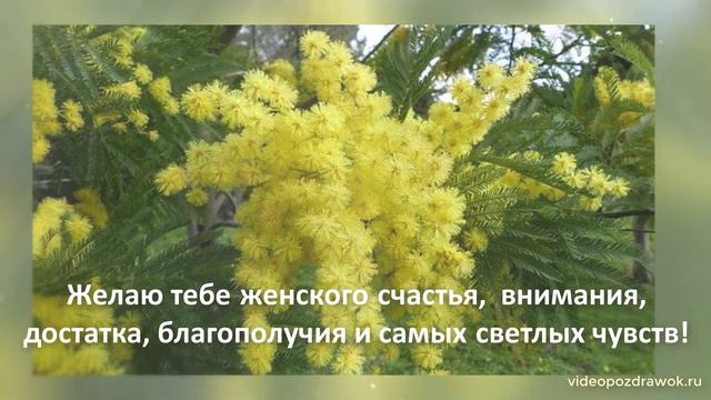 Моя дорогая подруга поздравляю тебя с 8 Марта! смотреть онлайн