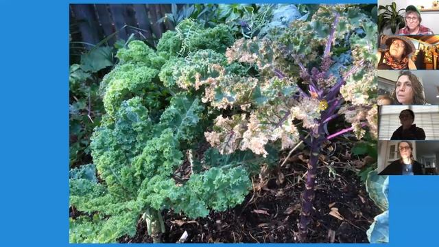 "Really a way to control Flea Beetles organically!" with Patti Armbrister смотреть онлайн