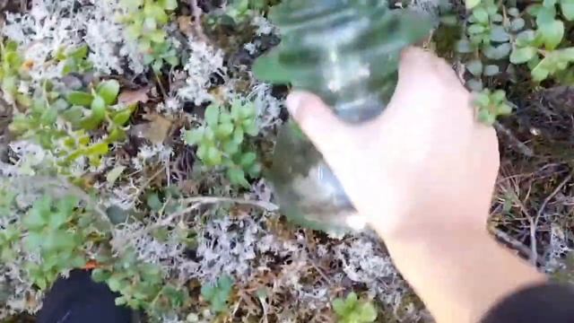 нашли много царских ТФ и много ШС 10 Г смотреть онлайн