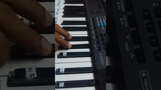 Tujhe dekha to ye jana sanam title song play on casio-by RB casio tones смотреть онлайн