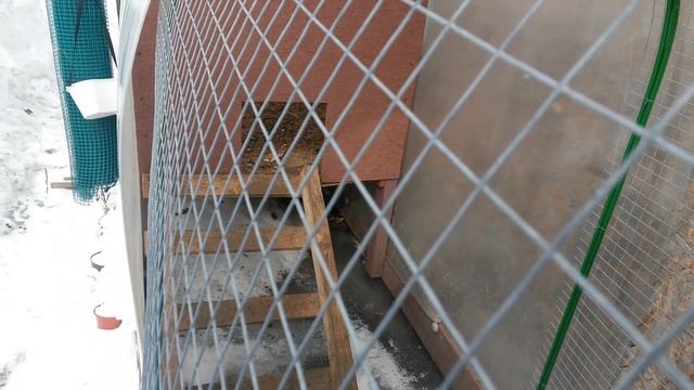 Строительные Творцы