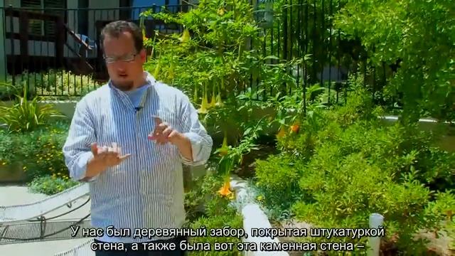Советы по ландшафтному и садовому дизайну (Переведено ландшафтной студией "ДриадаС") смотреть онлайн