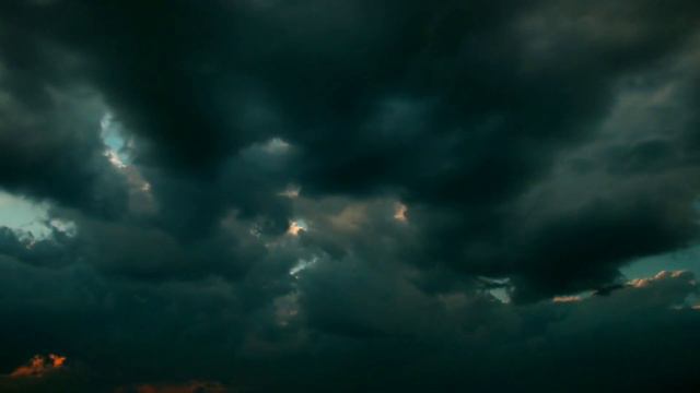 Девочки пропали в лесу смотреть онлайн